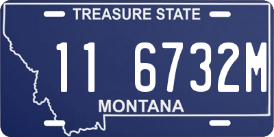 MT license plate 116732M