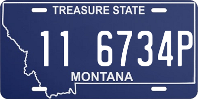 MT license plate 116734P