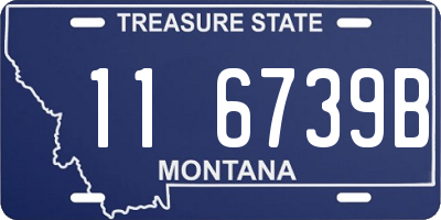 MT license plate 116739B