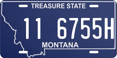 MT license plate 116755H
