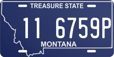 MT license plate 116759P