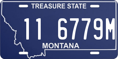 MT license plate 116779M