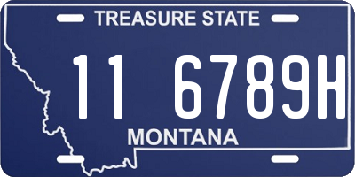 MT license plate 116789H