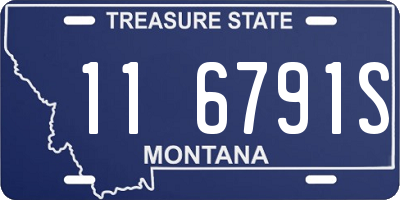 MT license plate 116791S