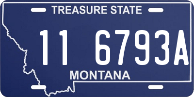 MT license plate 116793A