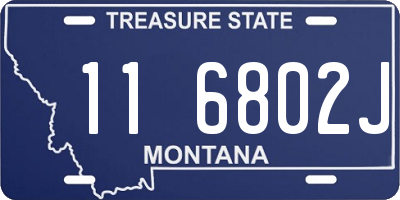 MT license plate 116802J