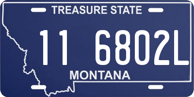 MT license plate 116802L