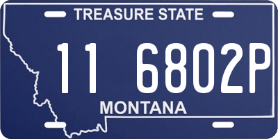 MT license plate 116802P