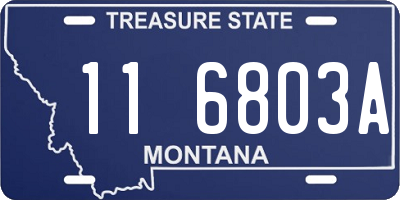 MT license plate 116803A