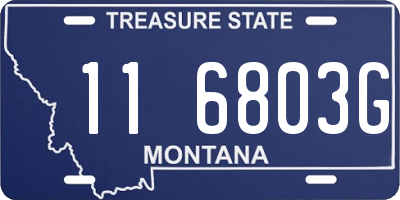 MT license plate 116803G