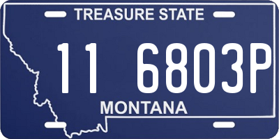 MT license plate 116803P