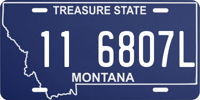 MT license plate 116807L
