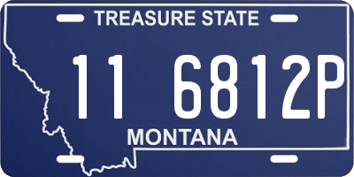 MT license plate 116812P