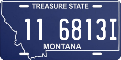 MT license plate 116813I