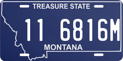 MT license plate 116816M