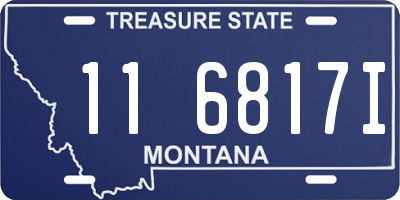 MT license plate 116817I