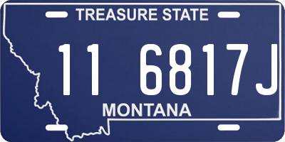 MT license plate 116817J