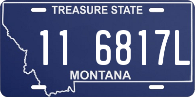 MT license plate 116817L