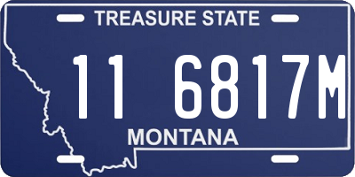 MT license plate 116817M