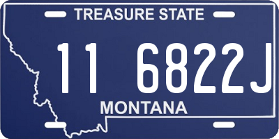 MT license plate 116822J