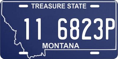 MT license plate 116823P