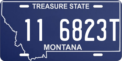 MT license plate 116823T