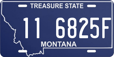 MT license plate 116825F