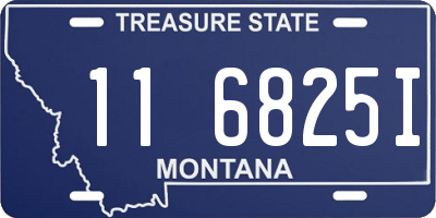 MT license plate 116825I