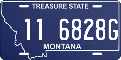 MT license plate 116828G