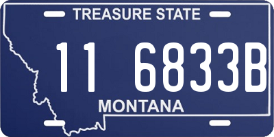 MT license plate 116833B