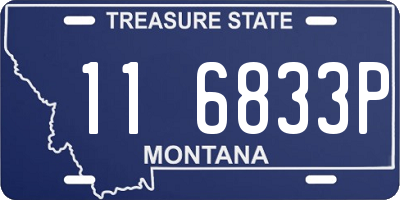 MT license plate 116833P