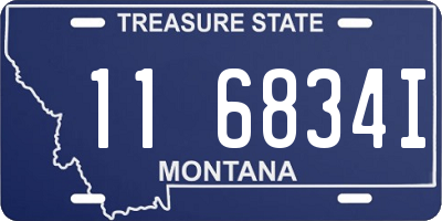 MT license plate 116834I