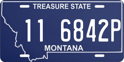 MT license plate 116842P