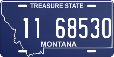 MT license plate 116853O