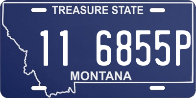 MT license plate 116855P