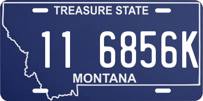 MT license plate 116856K