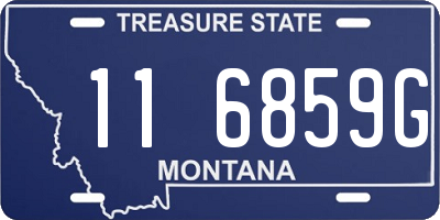 MT license plate 116859G