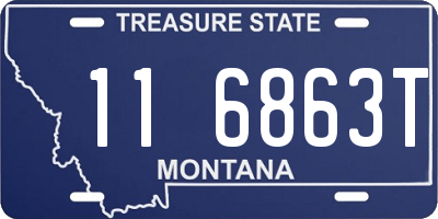 MT license plate 116863T