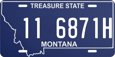 MT license plate 116871H