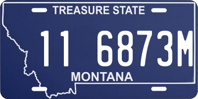 MT license plate 116873M