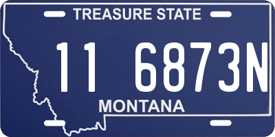 MT license plate 116873N