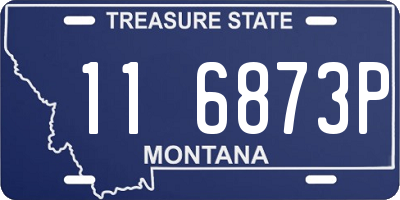 MT license plate 116873P