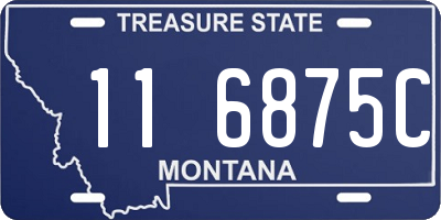 MT license plate 116875C