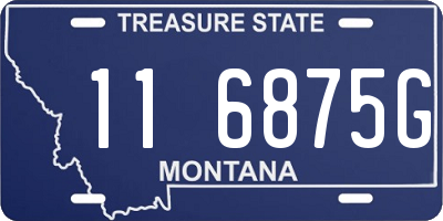 MT license plate 116875G