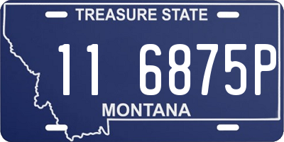 MT license plate 116875P
