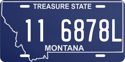 MT license plate 116878L