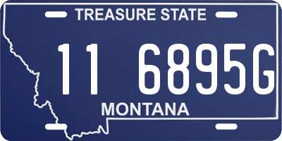 MT license plate 116895G