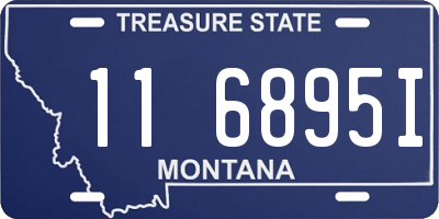 MT license plate 116895I