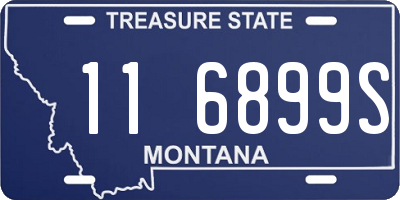 MT license plate 116899S