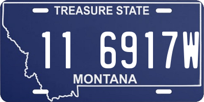 MT license plate 116917W